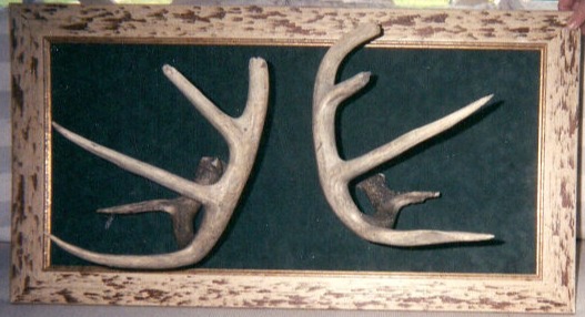 Art On The Move Framed Memories